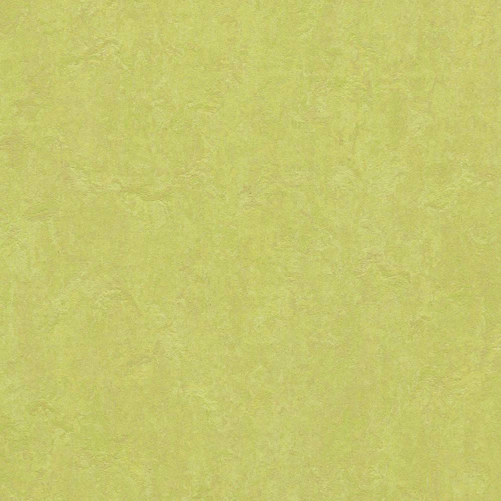 Linoleumgolv Forbo Marmoleum Click Spring Buds 30x30 cm