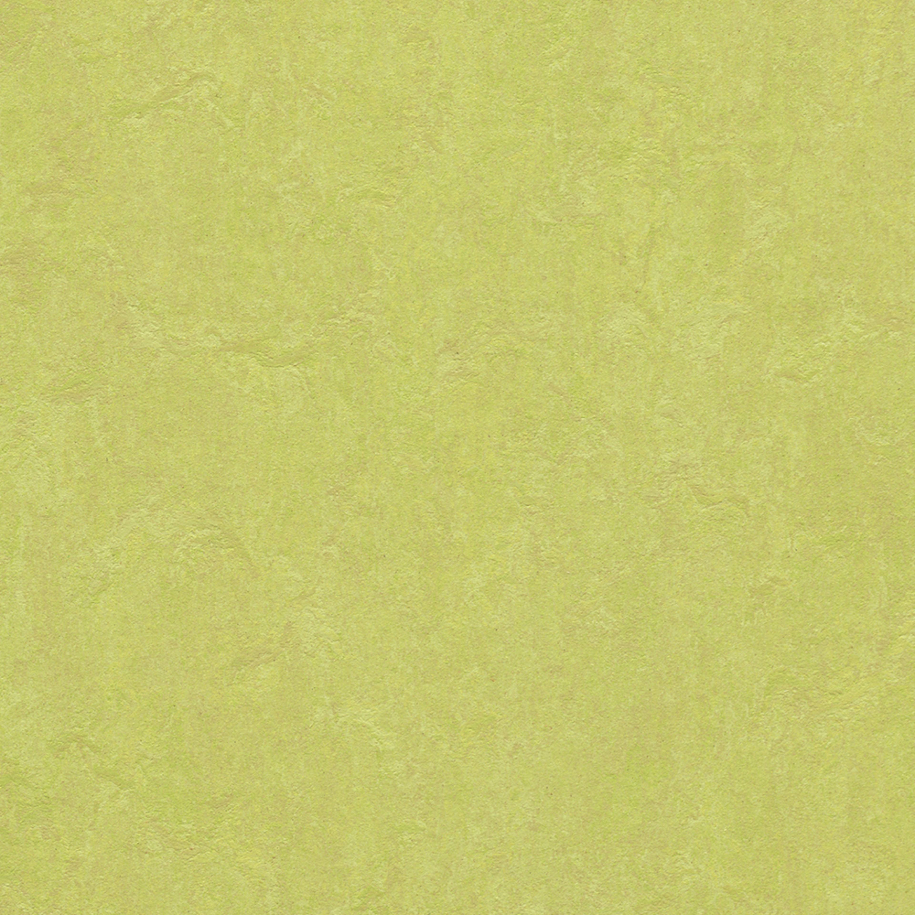 Linoleumgolv Forbo Marmoleum Click Spring Buds 30x30 cm