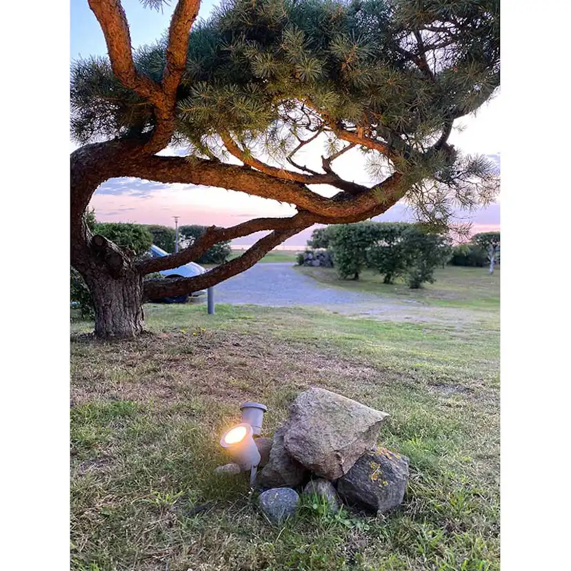 Markspett Westal LOT