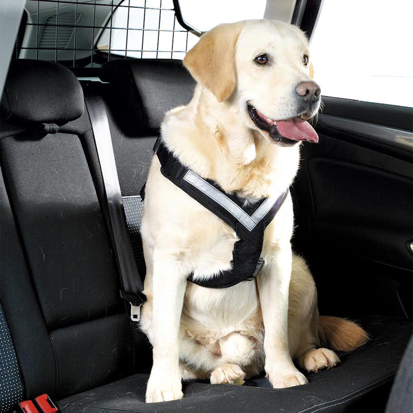 Hundsele MIM AllSafe L