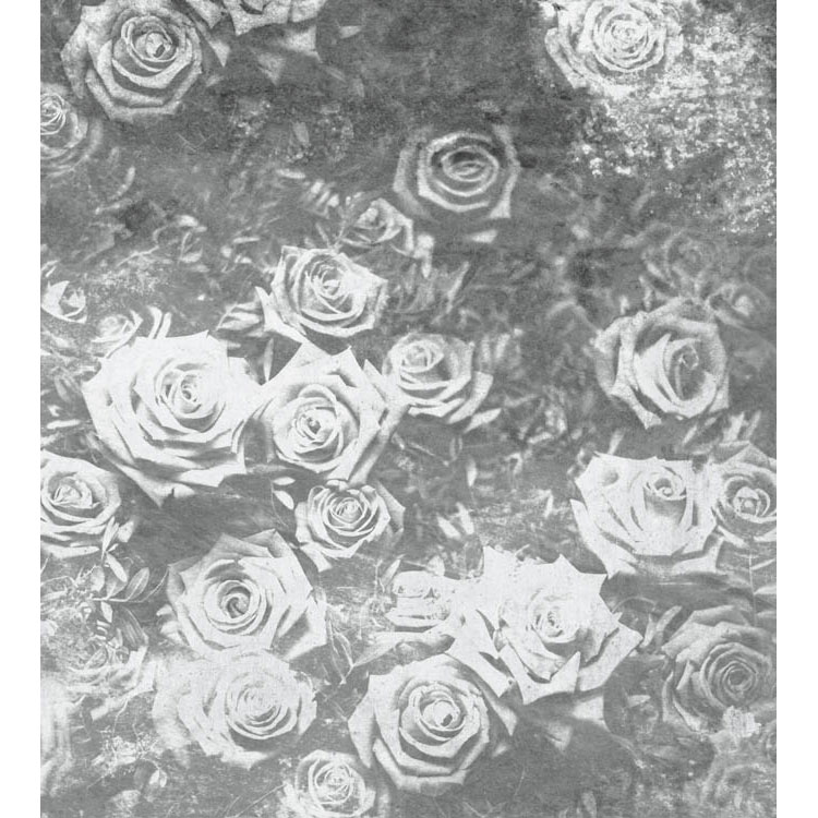 Fototapet Dimex Roses Abstract II