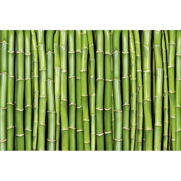 Tapet Dimex Bamboo