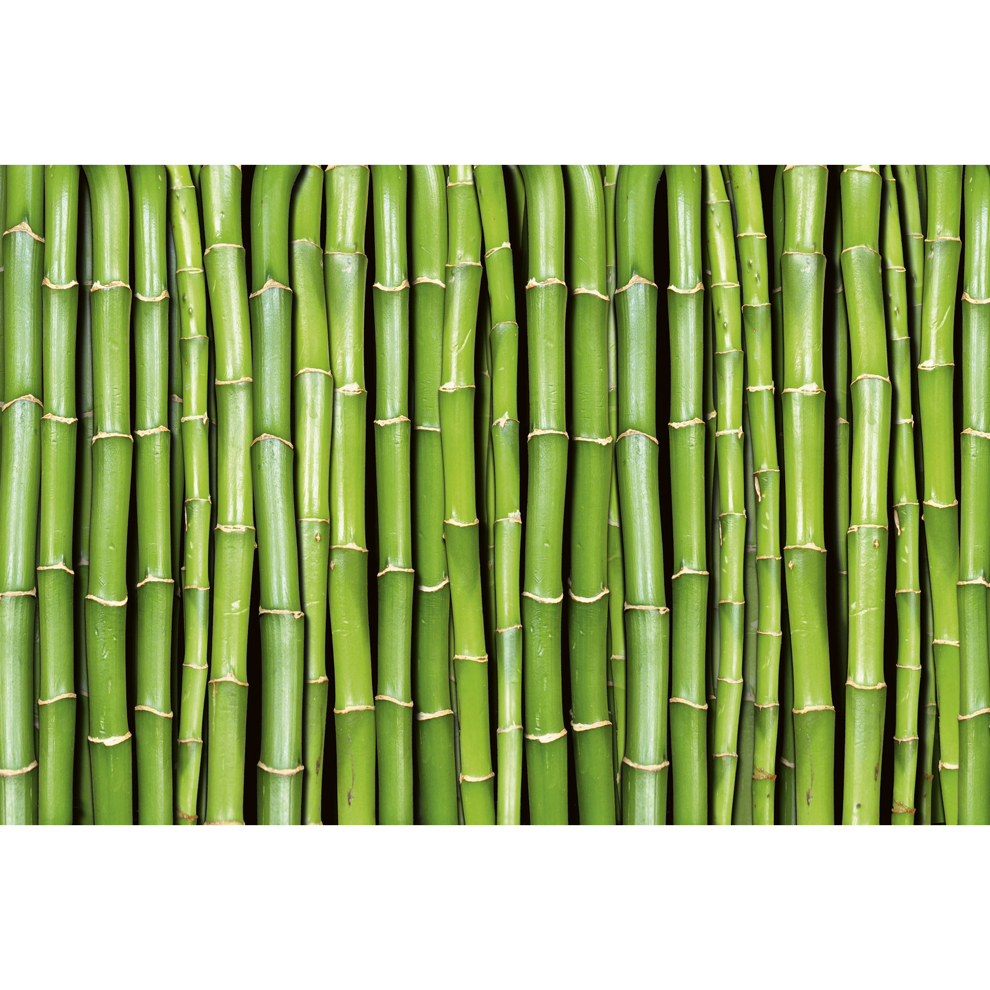 Tapet Dimex Bamboo