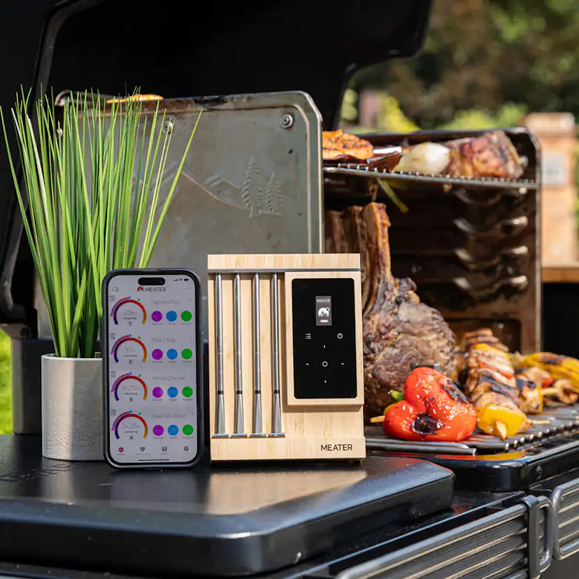 Termometer MEATER Pro XL
