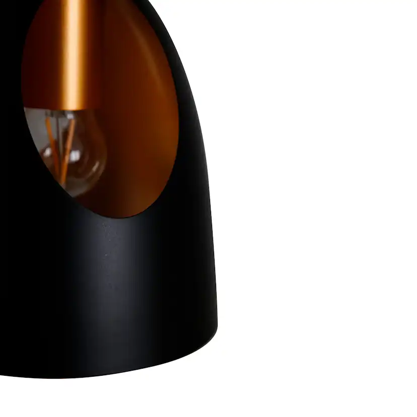 Taklampa Venture Home Emilio 1L