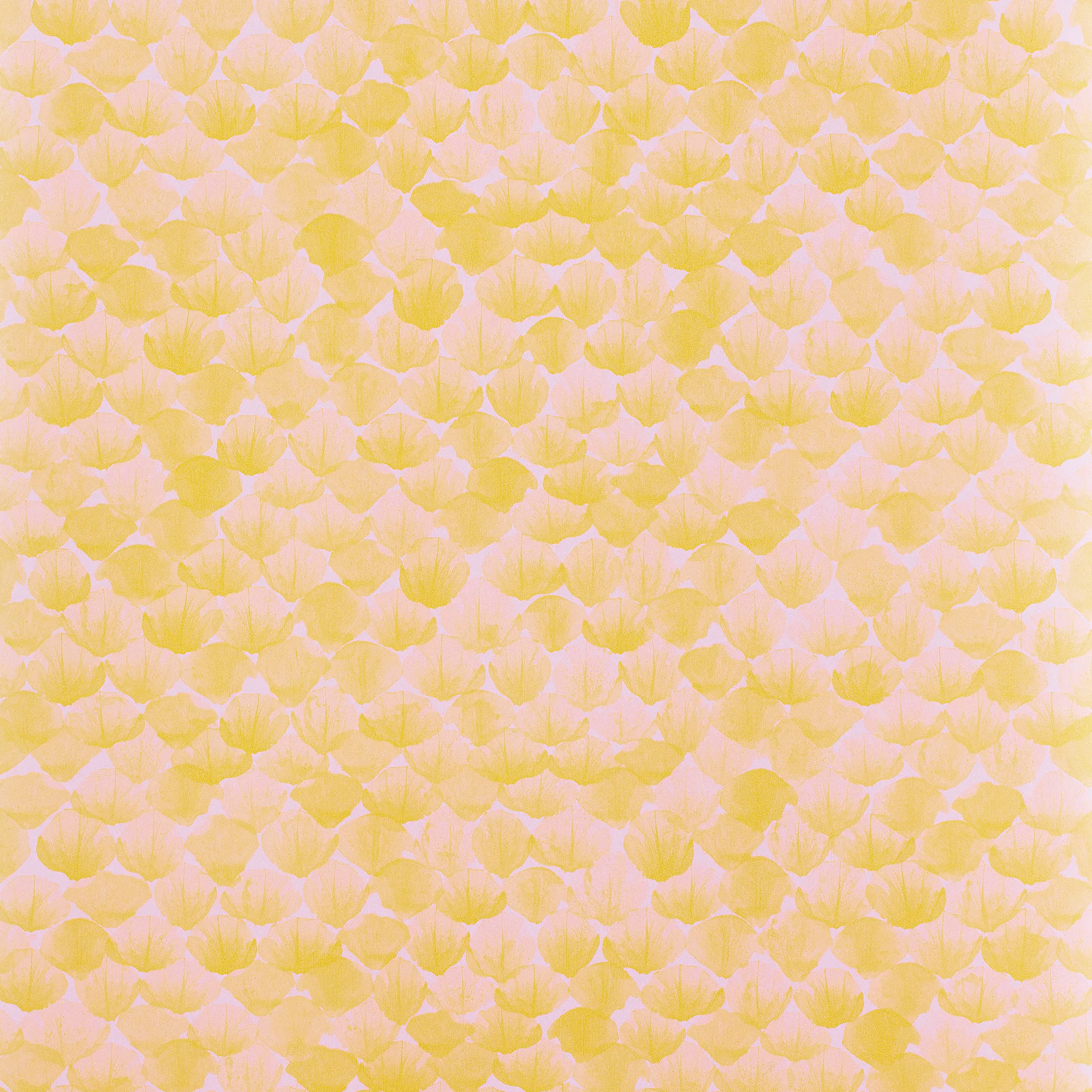 Tapet Mimou Poppy Rosa