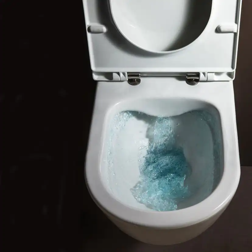 Toalettstol Laufen Kompas 825150 Rimless inkl Mjuksits