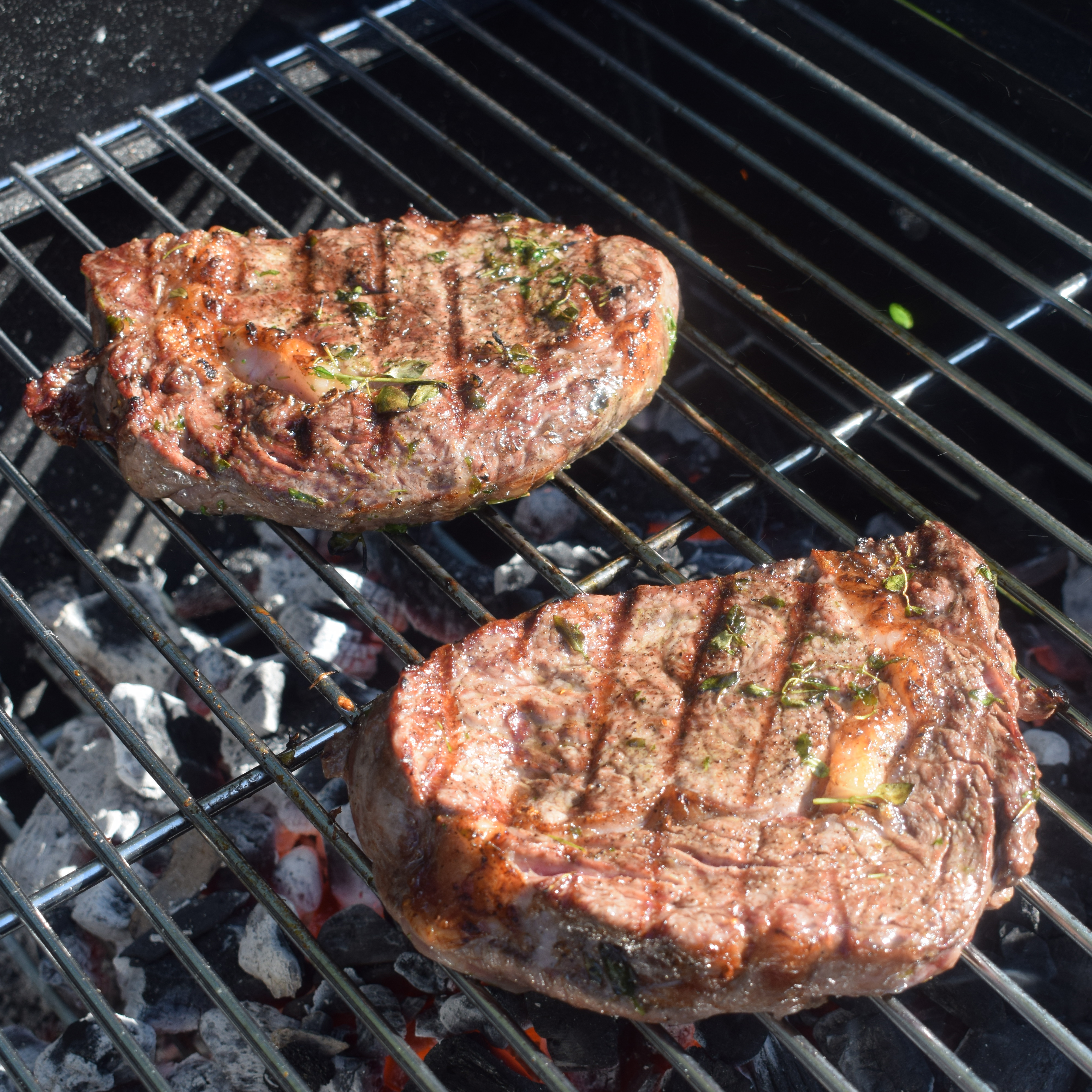 Kolgrill Sunwind Odis