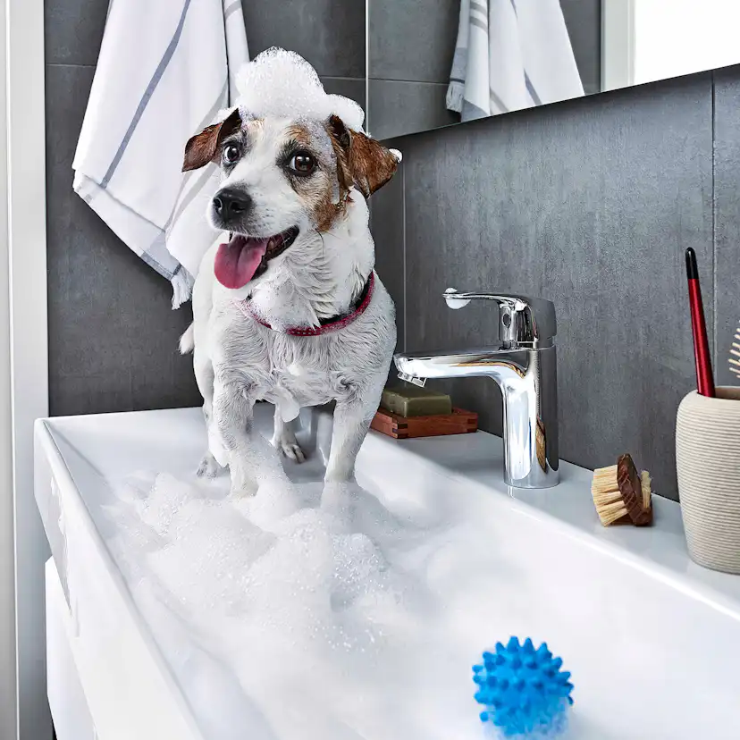 Tvättställsblandare Oras Safira 1011F