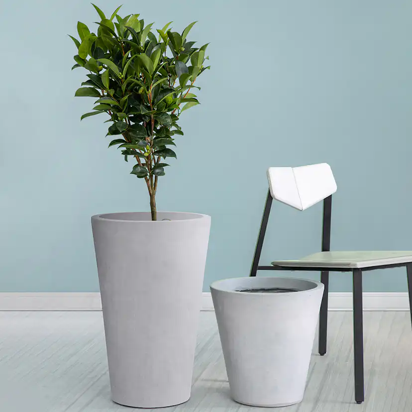 Kruka Lyfco Rund Hög Ljusgrå