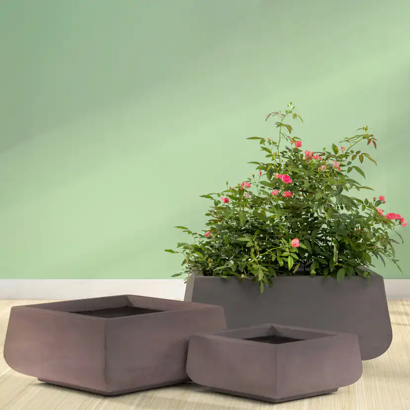 Kruka Lyfco Fyrkantig Låg Mörkbrun 2-pack