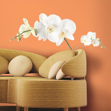Väggdekor RoomMates White Orchid