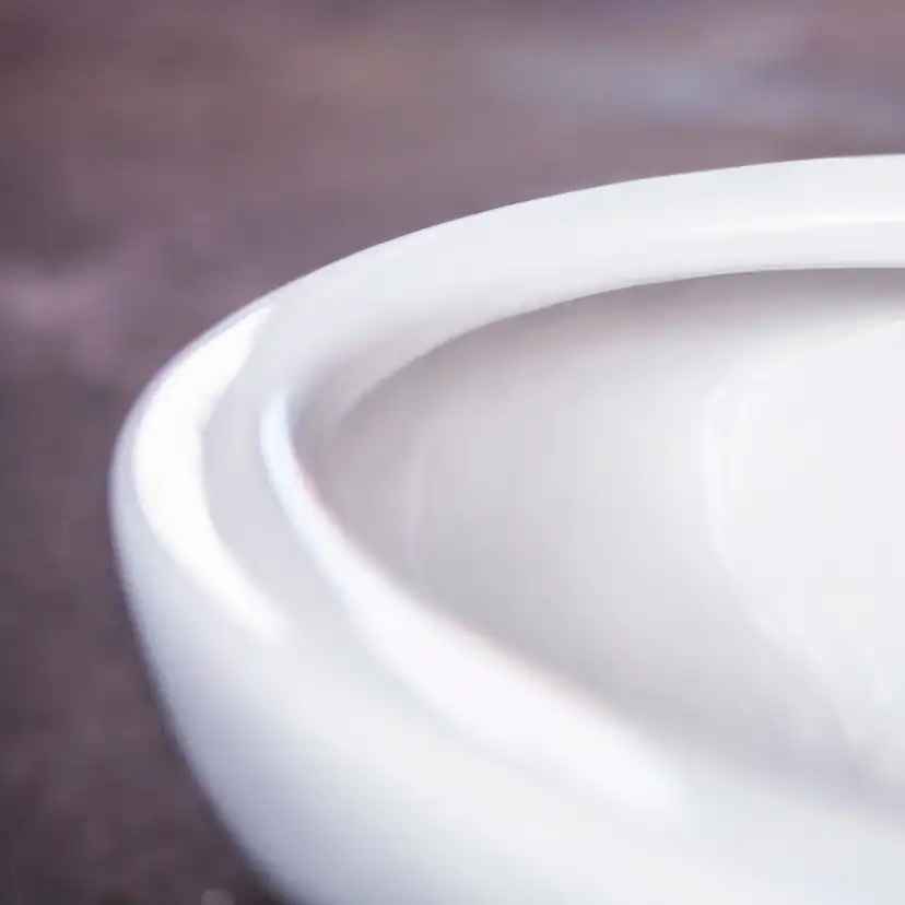 Vägghängd Toalettstol Gustavsberg Estetic 8330 Hygienic Flush