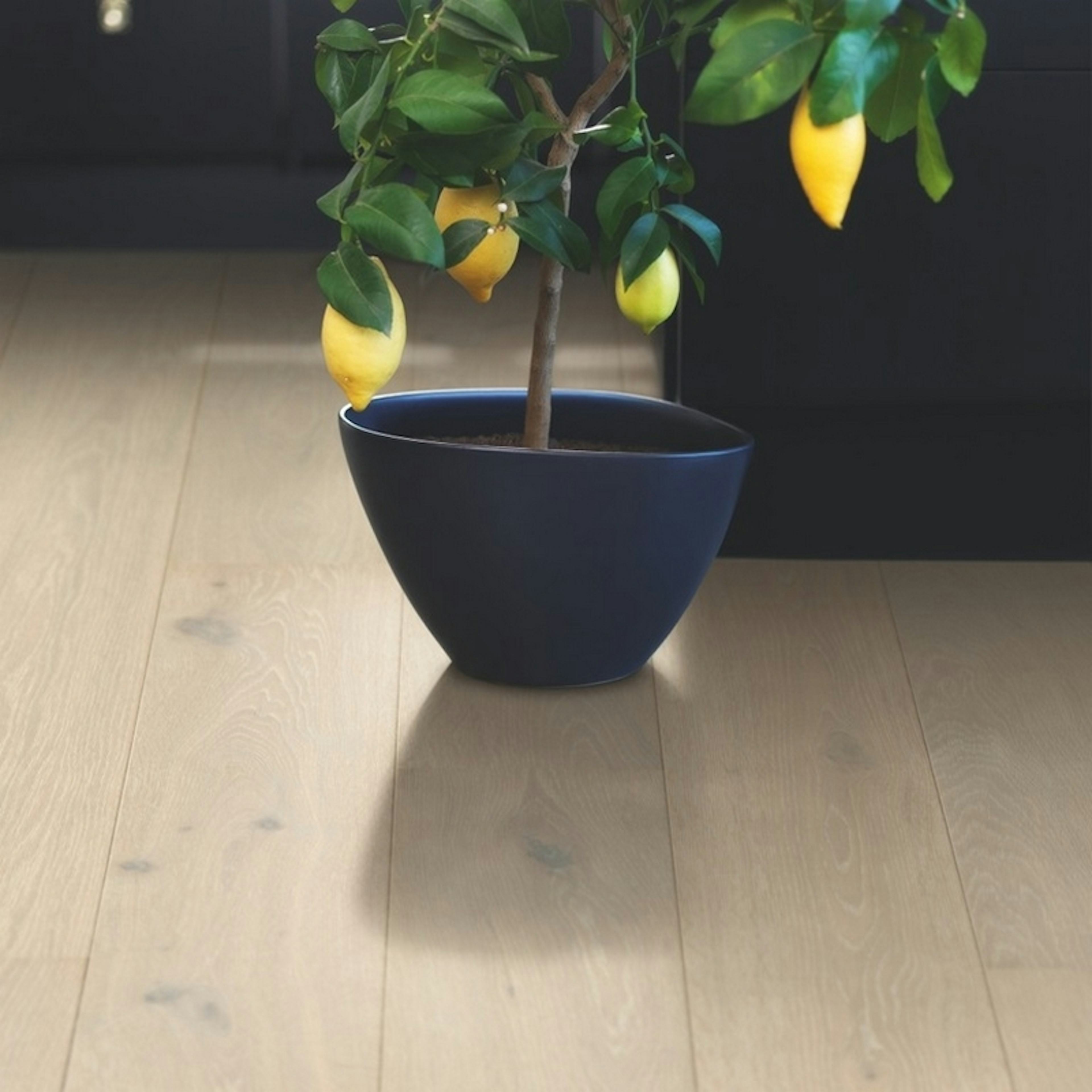 Trägolv Pergo Lofoten Arctic Ek, Mattlackat 1-Stav Parkettgolv