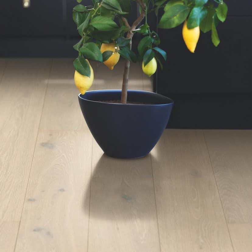 Trägolv Pergo Lofoten Arctic Ek, Mattlackat 1-Stav Parkettgolv