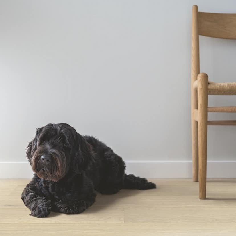 Trägolv Pergo Lofoten Arctic Ek, Mattlackat 1-Stav Parkettgolv