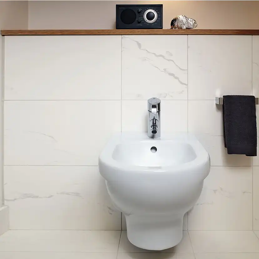 WC- och Bidéfixtur Gustavsberg Triomont