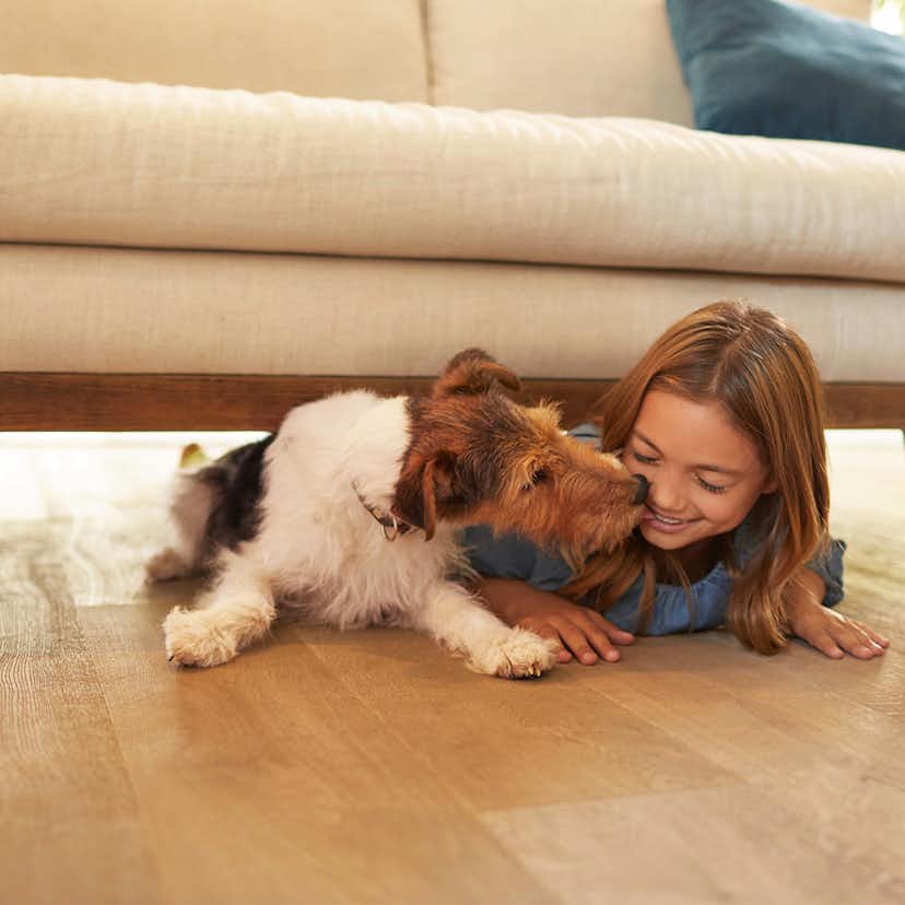 Rengöringsmedel Bona För Trägolv